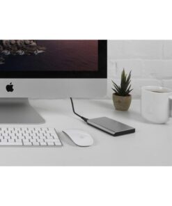 Disco rigido portatile da 1 TB Argento