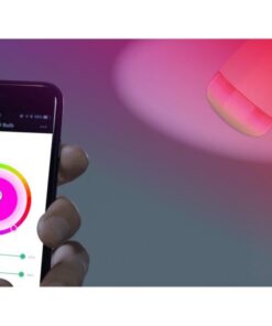 Lampadina LED E27 500lm Smart Controllo Vocale Alexa, R5085 Diamond