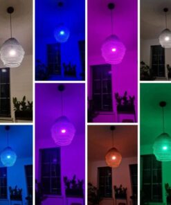 Lampadina LED E27 500lm Smart Controllo Vocale Alexa, R5085 Diamond