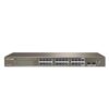 Switch Ethernet Gigabit  24 Porte+2 porte SFP Layer 2 Web Smart