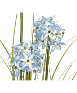 EUROPALMS Allium grass, artificial plant, blue, 120 cm