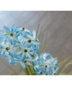 EUROPALMS Allium grass, artificial plant, blue, 120 cm