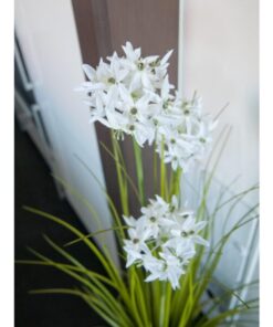EUROPALMS Allium grass, artificial plant, white, 120 cm
