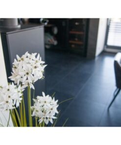 EUROPALMS Allium grass, artificial plant, white, 120 cm