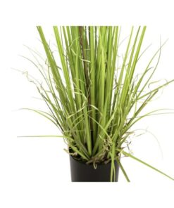 EUROPALMS Evergreen shrub with grass, artificial plant, 182cm