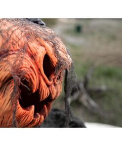 EUROPALMS Halloween Pumpkin Monster, 50cm