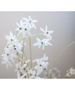 EUROPALMS Jasmin grass, artificial plant, white, 130 cm