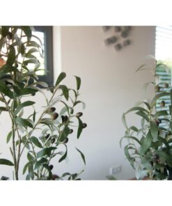 EUROPALMS Olive tree, artificial plant, 104 cm