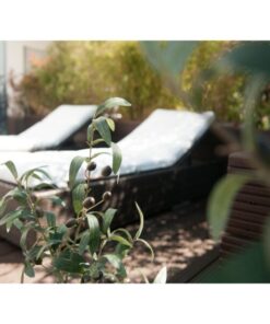 EUROPALMS Olive tree, artificial plant, 104 cm