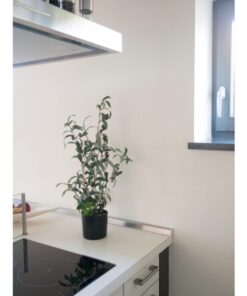 EUROPALMS Olive tree, artificial plant, 68 cm