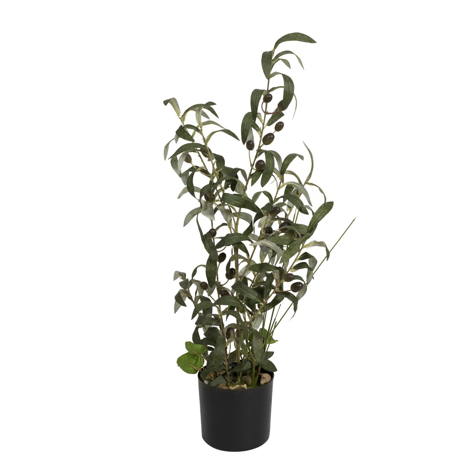 EUROPALMS Olive tree, artificial plant, 68 cm