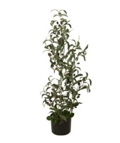 EUROPALMS Olive tree, artificial plant, 90 cm