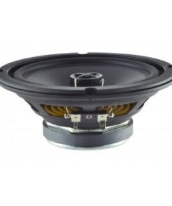 6 C 1 CS - Coassiale 6" - 100 W