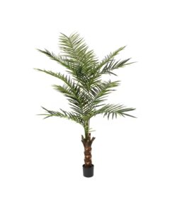 EUROPALMS Kentia palm tree, artificial plant, 240cm