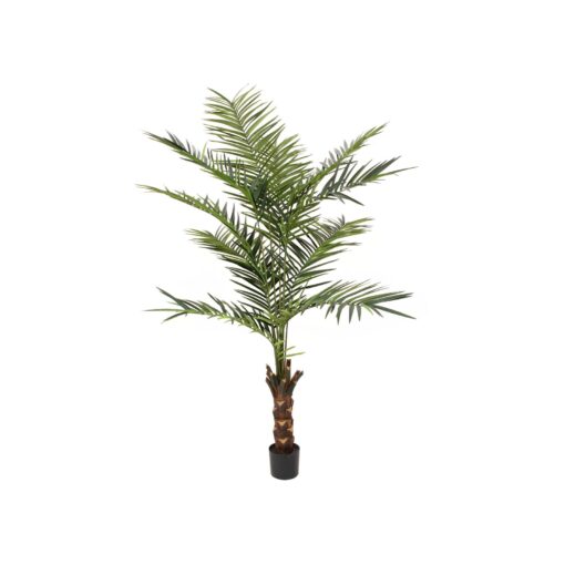 EUROPALMS Kentia palm tree, artificial plant, 240cm