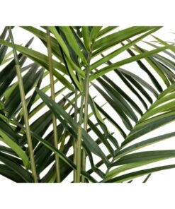 EUROPALMS Kentia palm tree, artificial plant, 240cm