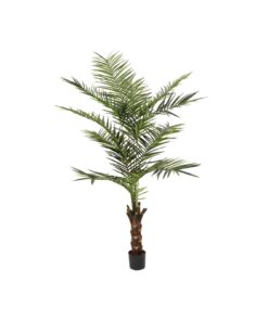 EUROPALMS Kentia palm tree, artificial plant, 240cm