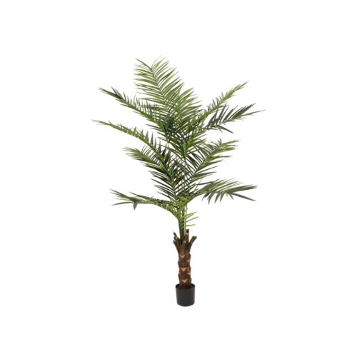 EUROPALMS Kentia palm tree, artificial plant, 240cm