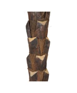 EUROPALMS Kentia  palm tree deluxe, artificial plant, 300cm