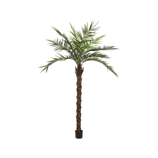 EUROPALMS Kentia  palm tree deluxe, artificial plant, 300cm