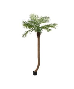 EUROPALMS Phoenix palm tree luxor curved, artificial plant, 240cm
