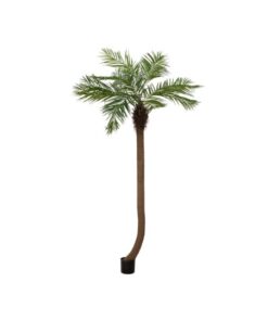 EUROPALMS Phoenix palm tree luxor curved, artificial plant, 240cm
