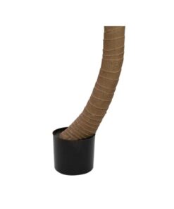 EUROPALMS Phoenix palm tree luxor curved, artificial plant, 240cm