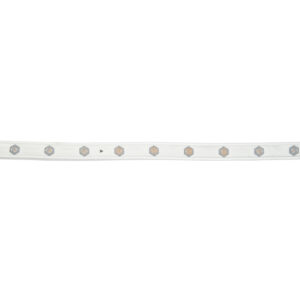 Pensacola 2700K Striscia LED flessibile Warm White 10m - 24 LEDs / m