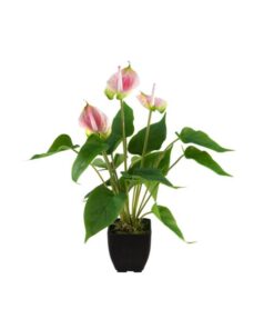 EUROPALMS Anthurium, artificial plant, white and pink