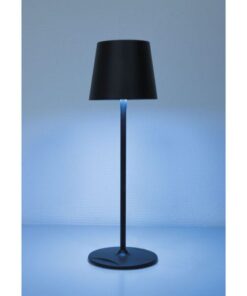 EventLITE Table-SW Lampada LED a batteria WW-NW IP54 con dimmer touch - colore bronzo