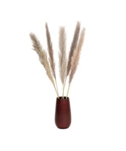 JOLIPA Pampas grass branch, dried, natural, 137cm