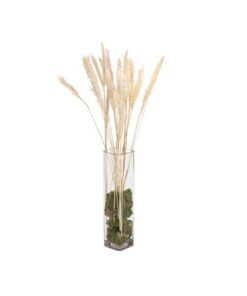 JOLIPA Pampas grass straw bunch, dried, natur, 75cm