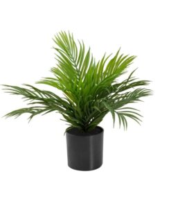 EUROPALMS Areca Palm, artificial plant, 46 cm