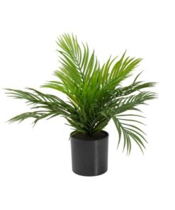 EUROPALMS Areca Palm, artificial plant, 46 cm