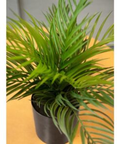 EUROPALMS Areca Palm, artificial plant, 46 cm