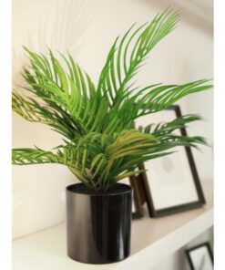 EUROPALMS Areca Palm, artificial plant, 46 cm