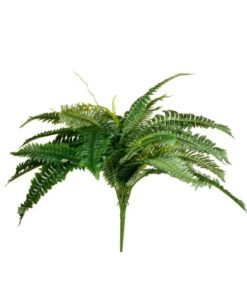 EUROPALMS Boston Fern, artificial plant,53cm