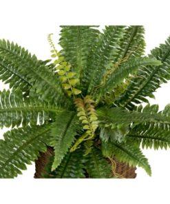EUROPALMS Boston Fern, artificial plant,53cm