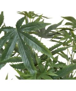 EUROPALMS Cannabis-plant,textile, 120cm