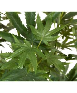 EUROPALMS Cannabis-plant,textile, 150cm
