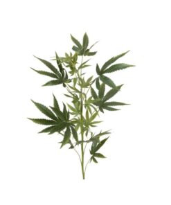 EUROPALMS Cannabis-spra, textile, 90cm