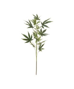 EUROPALMS Cannabis-spra, textile, 90cm