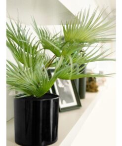 EUROPALMS Fan palm, artificial plant, 55cm
