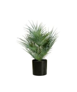 EUROPALMS Fan palm, artificial plant, 55cm