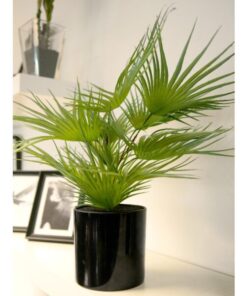 EUROPALMS Fan palm, artificial plant, 55cm
