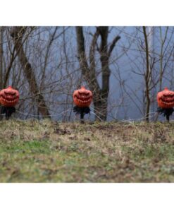 EUROPALMS Halloween Pumpkins with Stake, Set of 3, 39cm