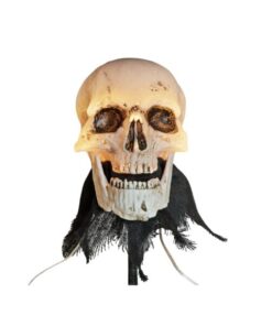 EUROPALMS Halloween Skeleton Head with Stake, Set of 3, 29cm