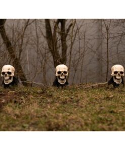 EUROPALMS Halloween Skeleton Head with Stake, Set of 3, 29cm