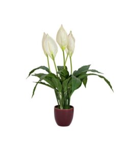 EUROPALMS Lily Peace, artificial plant, 49cm
