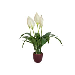 EUROPALMS Lily Peace, artificial plant, 49cm